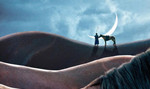 马背上的内蒙古丨呼伦贝尔游牧转场高端深度探寻之路
