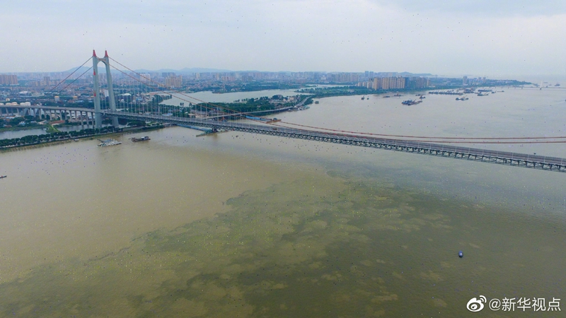 水利部：6月以来全国共有433条河流发生超警以上洪水